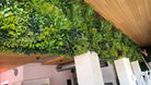 Small sample of Lush Spring vertical garden panel by Designer Plants USA, showcasing vibrant artificial greenery for wall decor.