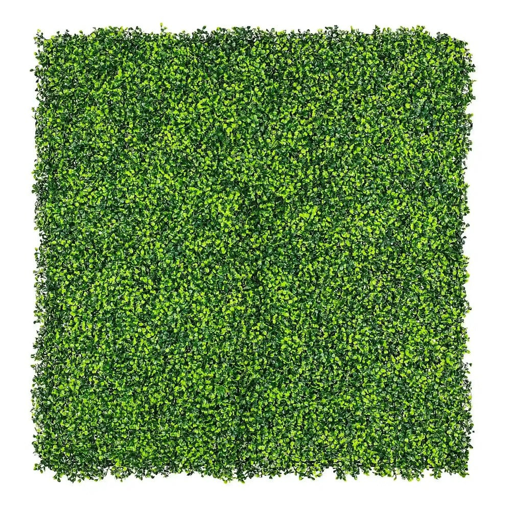 Small sample of Designer Plants USA mixed boxwood green wall panel showing lush, dense greenery for interior or exterior decor.