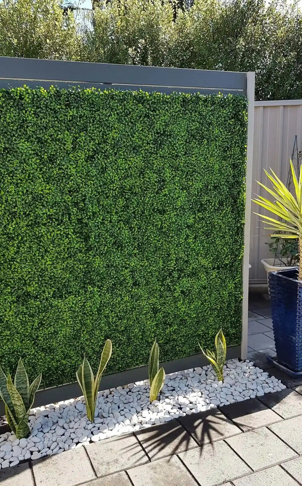 Small sample of Designer Plants USA mixed boxwood green wall panel showing artificial hedge with lush, dense greenery.