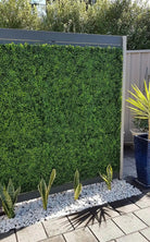 Small sample of Designer Plants USA mixed boxwood green wall panel showing artificial hedge with lush, dense greenery.