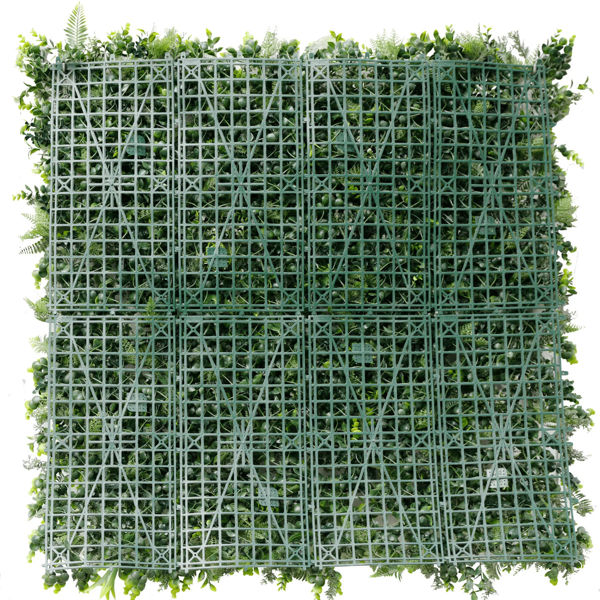 Small sample of Designer Plants USA natural boxwood green wall panel showing lush, realistic boxwood foliage for wall decoration.