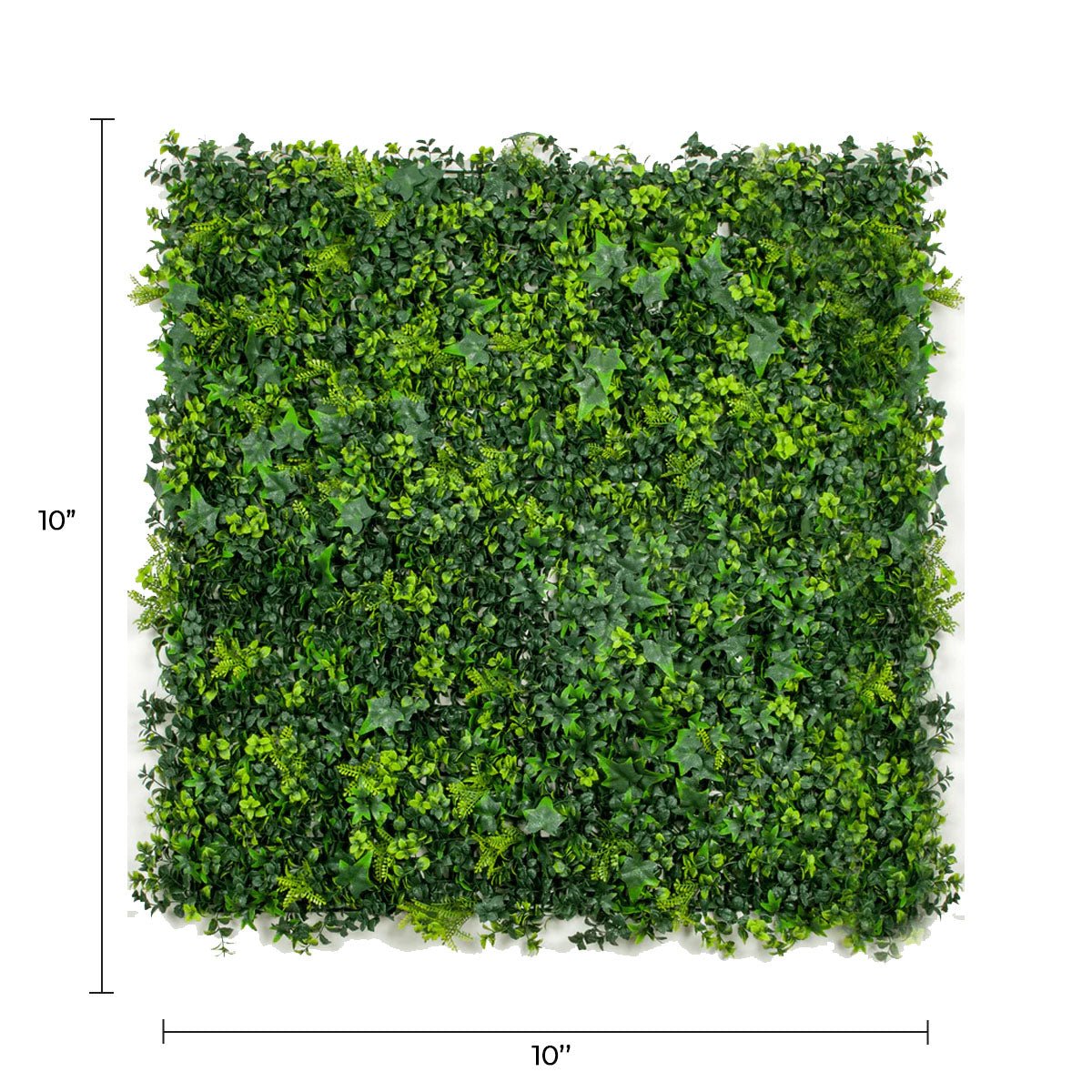 Small sample panel of Designer Plants USA Spring Sensation Green Wall with mixed ivy, UV-resistant artificial greenery.