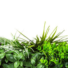 Small sample of Designer Plants USA Urban Greenery vertical garden panel featuring artificial green wall with red grasses and lush foliage.