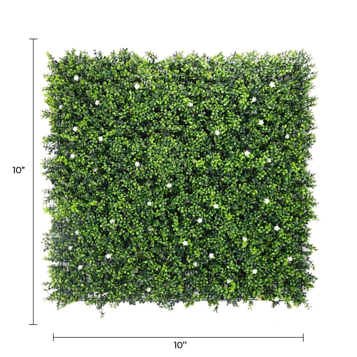 Small sample of Designer Plants USA white flowering artificial boxwood wall panel, UV resistant and suitable for green wall installations.