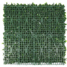 Small sample of Designer Plants USA white flowering boxwood green wall panel showing lush artificial hedge with flowering details from the back view.