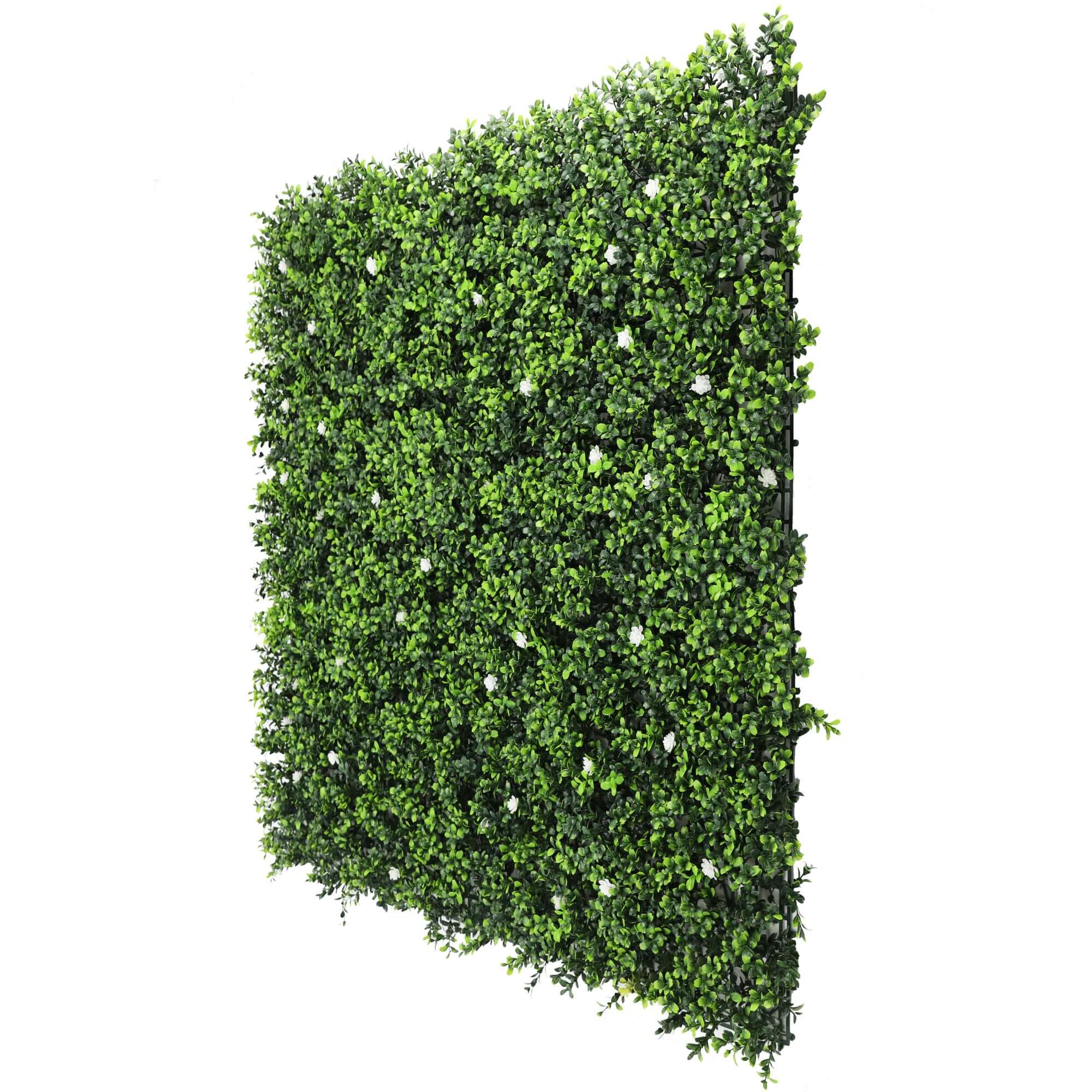 Small sample of Designer Plants USA white flowering boxwood green wall panel showing a lush artificial hedge with flowering details.