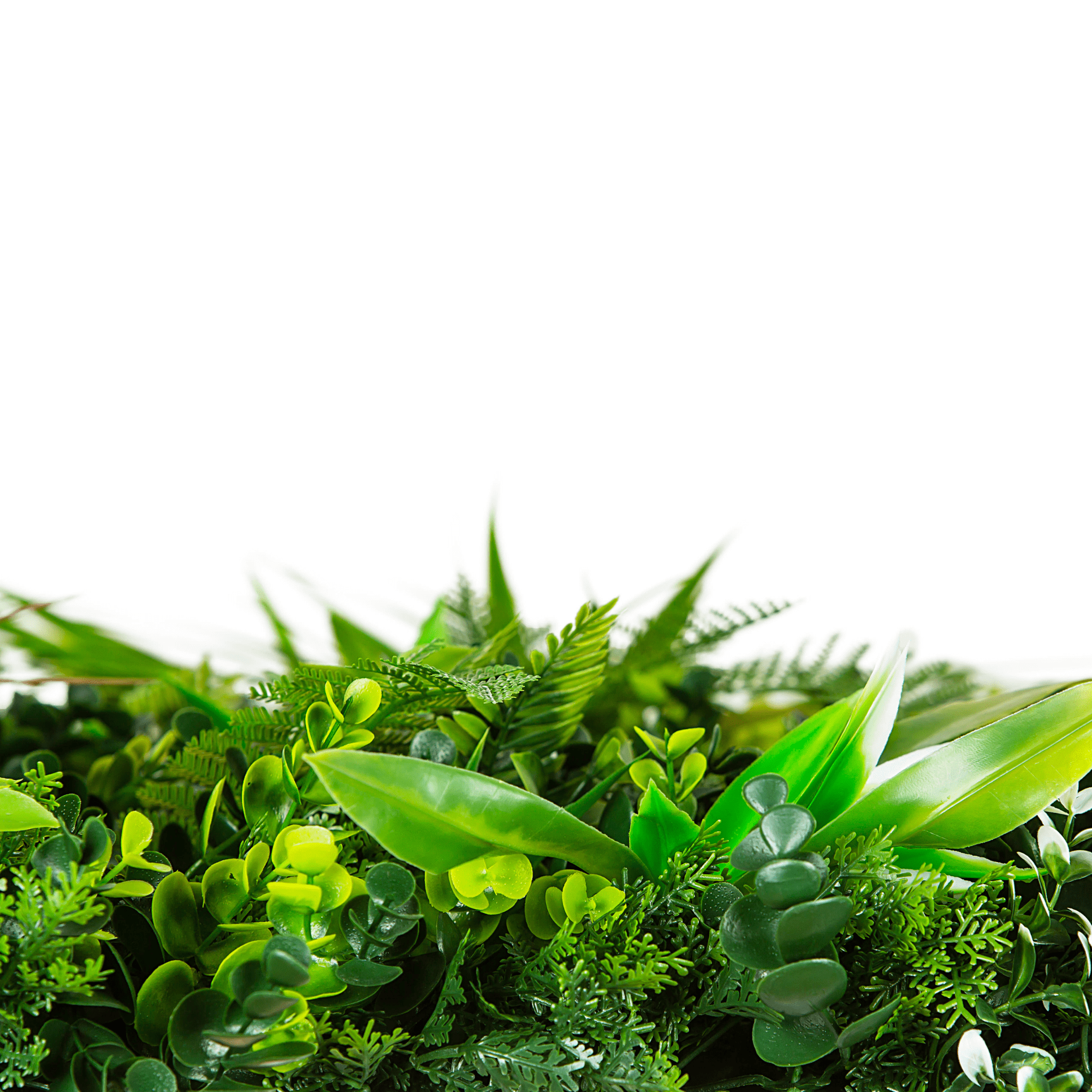 Small sample of Designer Plants USA Wild Tropics Vertical Garden panel showing lush tropical foliage and vibrant plant textures.