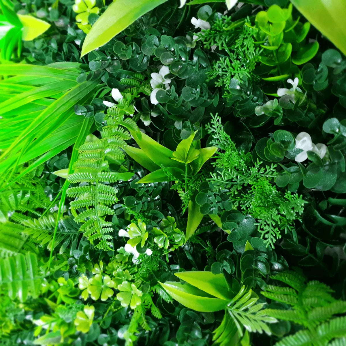 Small sample of Designer Plants USA Wild Tropics Vertical Garden panel showing lush tropical plant arrangement.