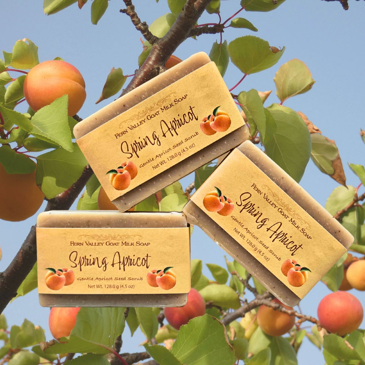 Handmade Fern Valley Goat Milk Soap with spring apricot scent and exfoliating scrub texture, featuring fresh apricot pieces.