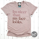 Gray V-neck T-shirt with humorous "I'm Nicer Than My Face Looks" graphic, casual short-sleeve tee by The Graphic Tee.