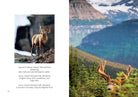 Hardcover book titled America's National Parks by Insight Editions with scenic park landscape on cover