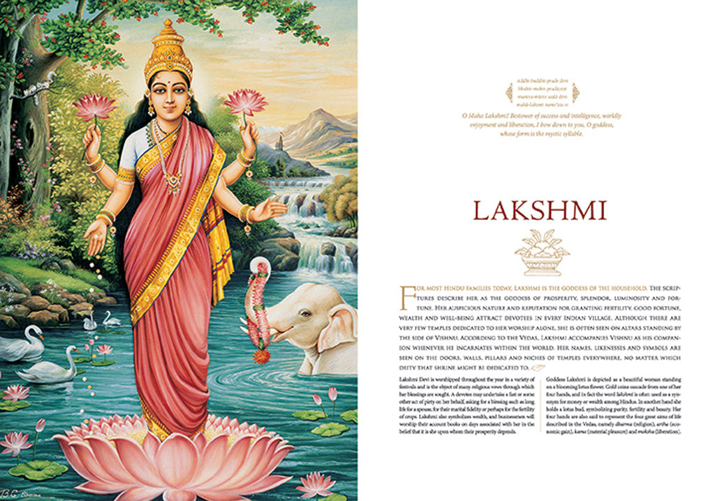 Hardcover book titled "Beauty, Power & Grace" by Insight Editions with a cover design featuring elegant artwork.