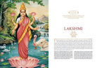 Hardcover book titled "Beauty, Power & Grace" by Insight Editions with a cover design featuring elegant artwork.