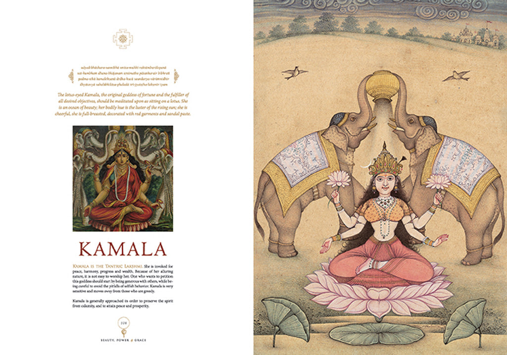 Hardcover book titled "Beauty, Power & Grace" by Insight Editions with elegant cover design.