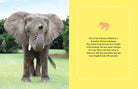 Hardcover book titled "Bubbles" by Insight Editions with a colorful cover design.