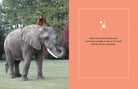 Hardcover book titled "Bubbles" by Insight Editions with a colorful cover design.