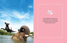 Hardcover book titled "Bubbles" by Insight Editions with colorful abstract cover art.