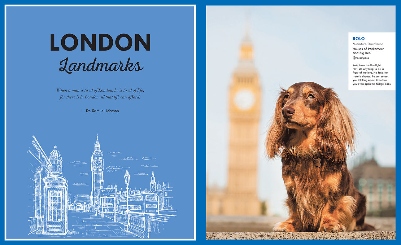 Hardcover book titled "Canines of London" by Insight Editions featuring detailed images of London's dogs and canine culture.