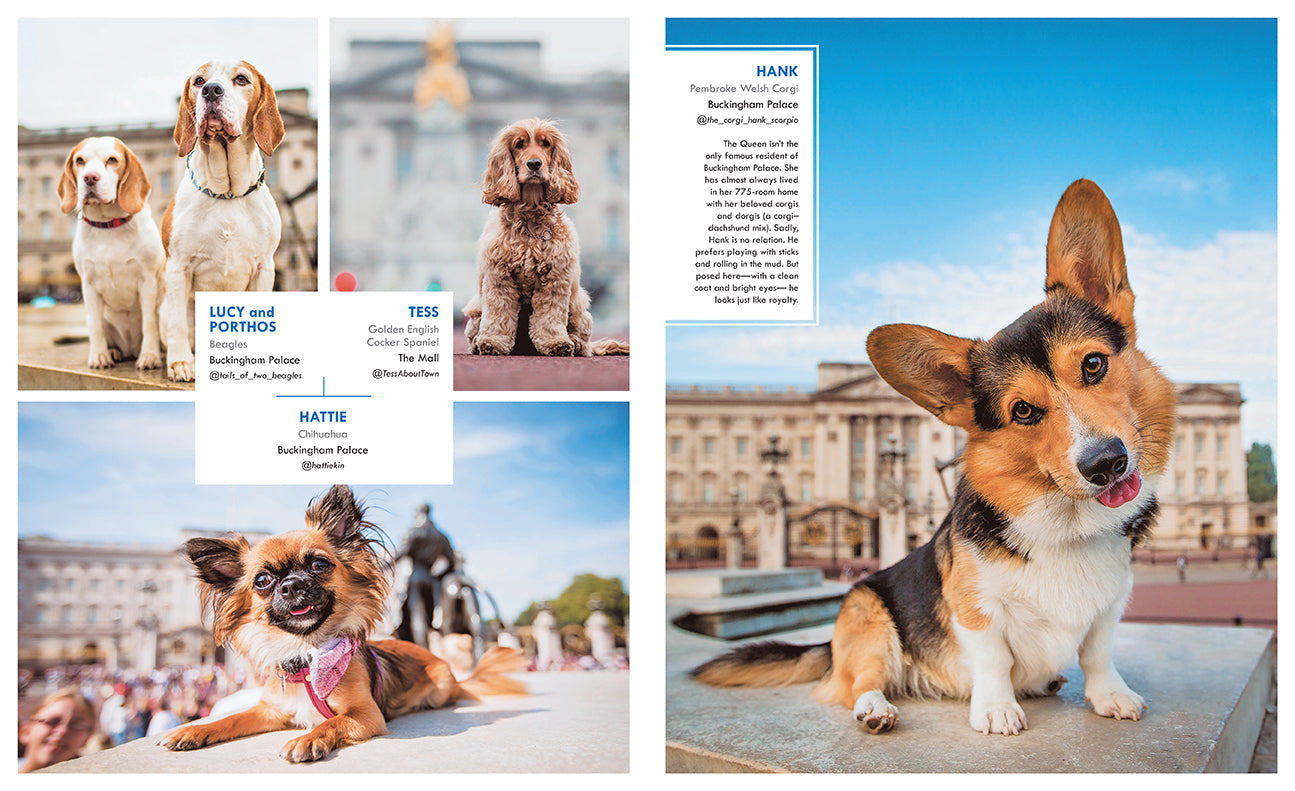 Hardcover book titled "Canines of London" by Insight Editions featuring detailed images of London's dogs.