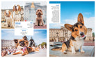 Hardcover book titled "Canines of London" by Insight Editions featuring detailed images of London's dogs.