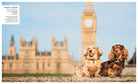 Hardcover book titled "Canines of London" by Insight Editions, featuring images and descriptions of London's dogs.