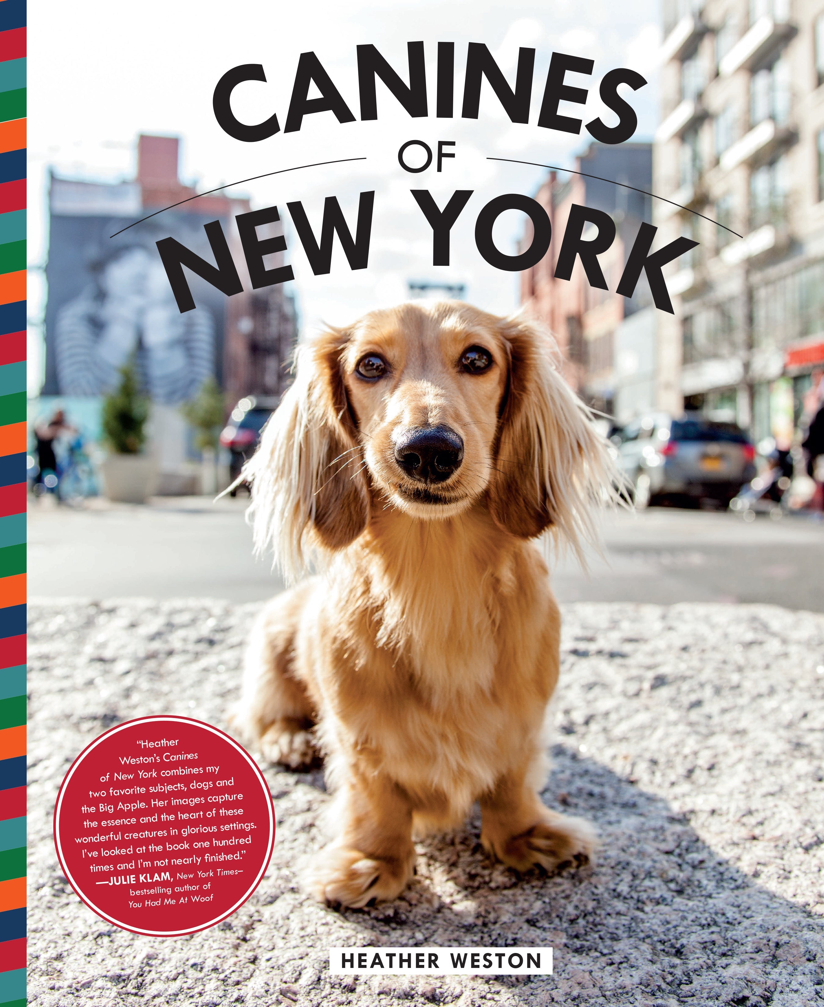 Hardcover book titled "Canines of New York" by Insight Editions, featuring images and information about New York's dogs.