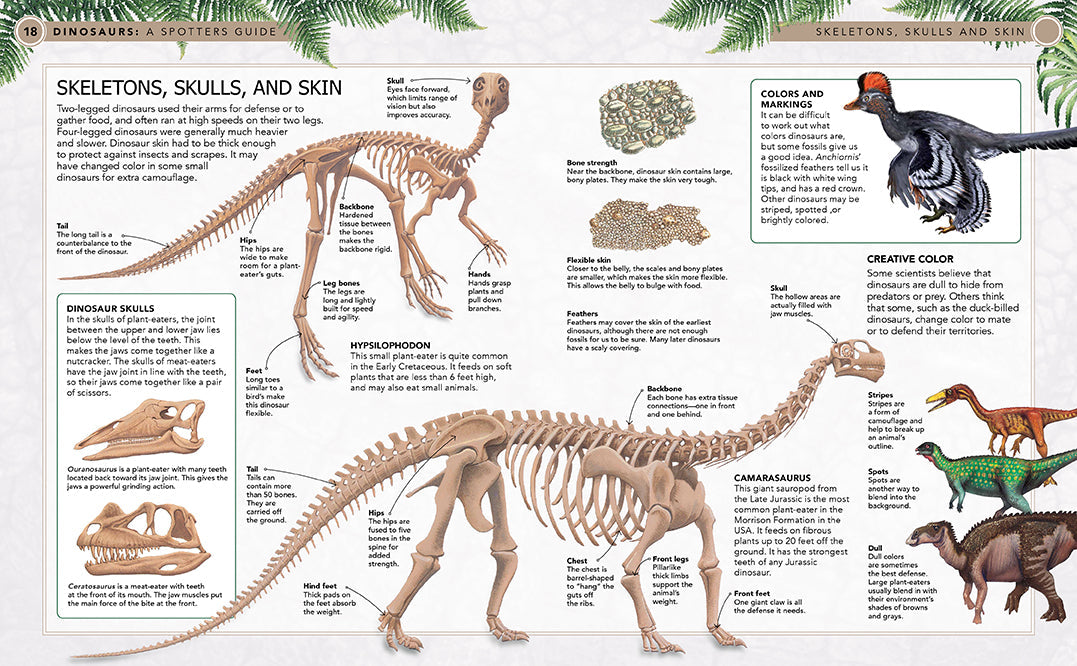 Hardcover dinosaur book by Insight Editions featuring colorful illustrations of various prehistoric creatures.