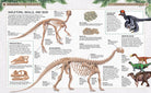 Hardcover dinosaur book by Insight Editions featuring colorful illustrations of various prehistoric creatures.