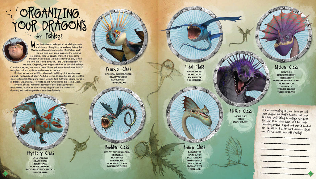 Hardcover book titled "DreamWorks Dragons: To Berk and Beyond!" by Insight Editions, featuring cover art from the animated series.