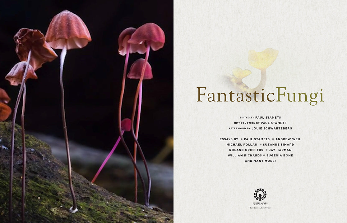 Hardcover copy of Fantastic Fungi book by Insight Editions featuring colorful mushroom illustrations on the cover.