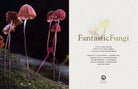 Hardcover copy of Fantastic Fungi book by Insight Editions featuring colorful mushroom illustrations on the cover.