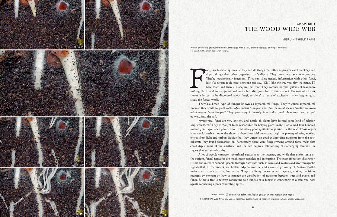 Hardcover book titled Fantastic Fungi by Insight Editions featuring colorful mushroom illustrations on the cover.