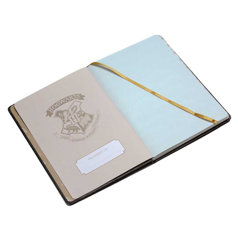 Hardcover Harry Potter 2023-2024 academic year planner by Insight Editions with magical-themed cover design.