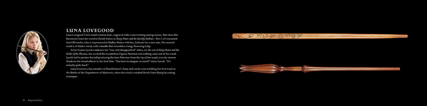 Hardcover Harry Potter and Fantastic Beasts book featuring detailed illustrations of wizarding world wands by Insight Editions