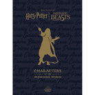 Hardcover book titled Harry Potter: Characters of the Wizarding World by Insight Editions, featuring illustrations of wizarding characters.