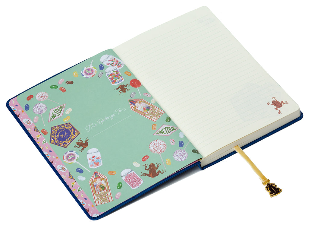 Hardcover Harry Potter Chocolate Frog Journal with ribbon charm by Insight Editions, featuring magical-themed cover design.