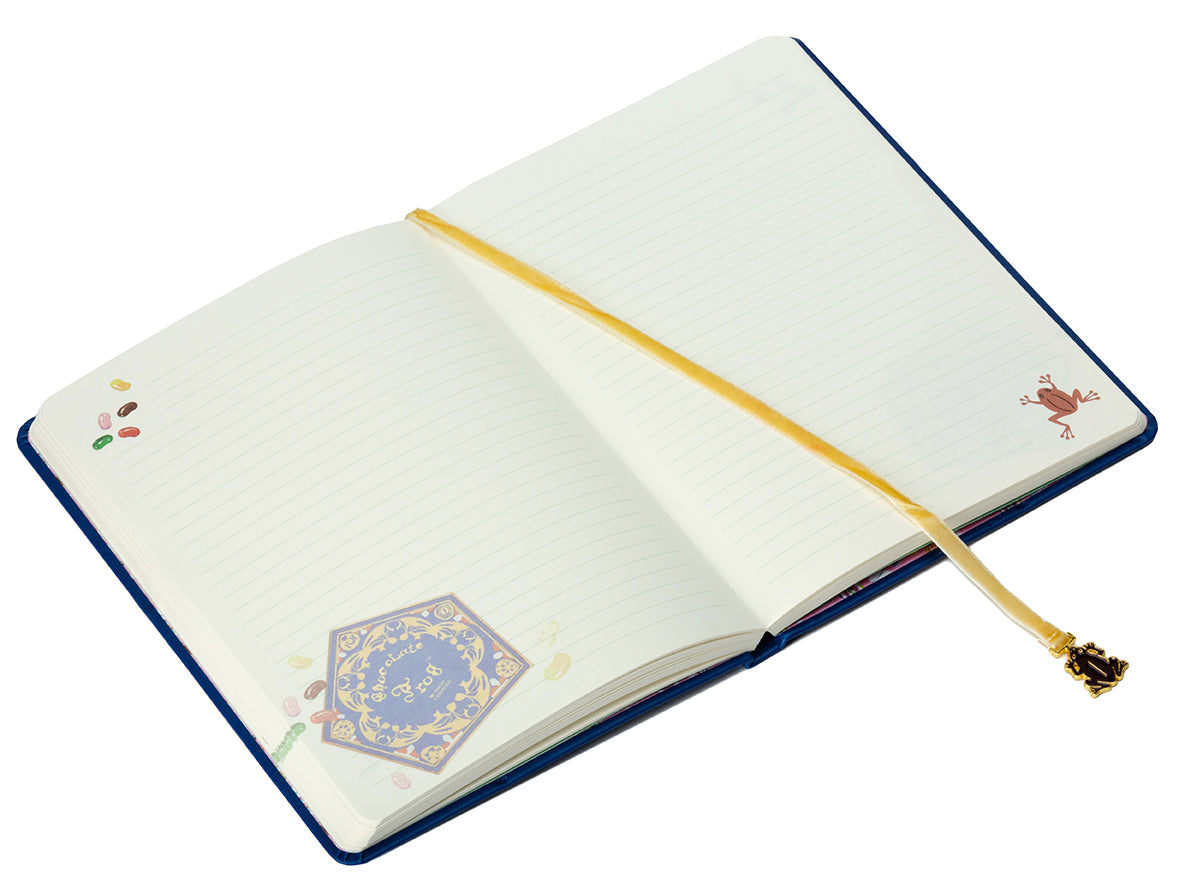 Hardcover Harry Potter Chocolate Frog Journal from Insight Editions with ribbon charm and magical-themed cover design.