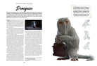 Hardcover book titled "Creatures of the Wizarding World" by Insight Editions featuring Harry Potter creatures and magical illustrations.