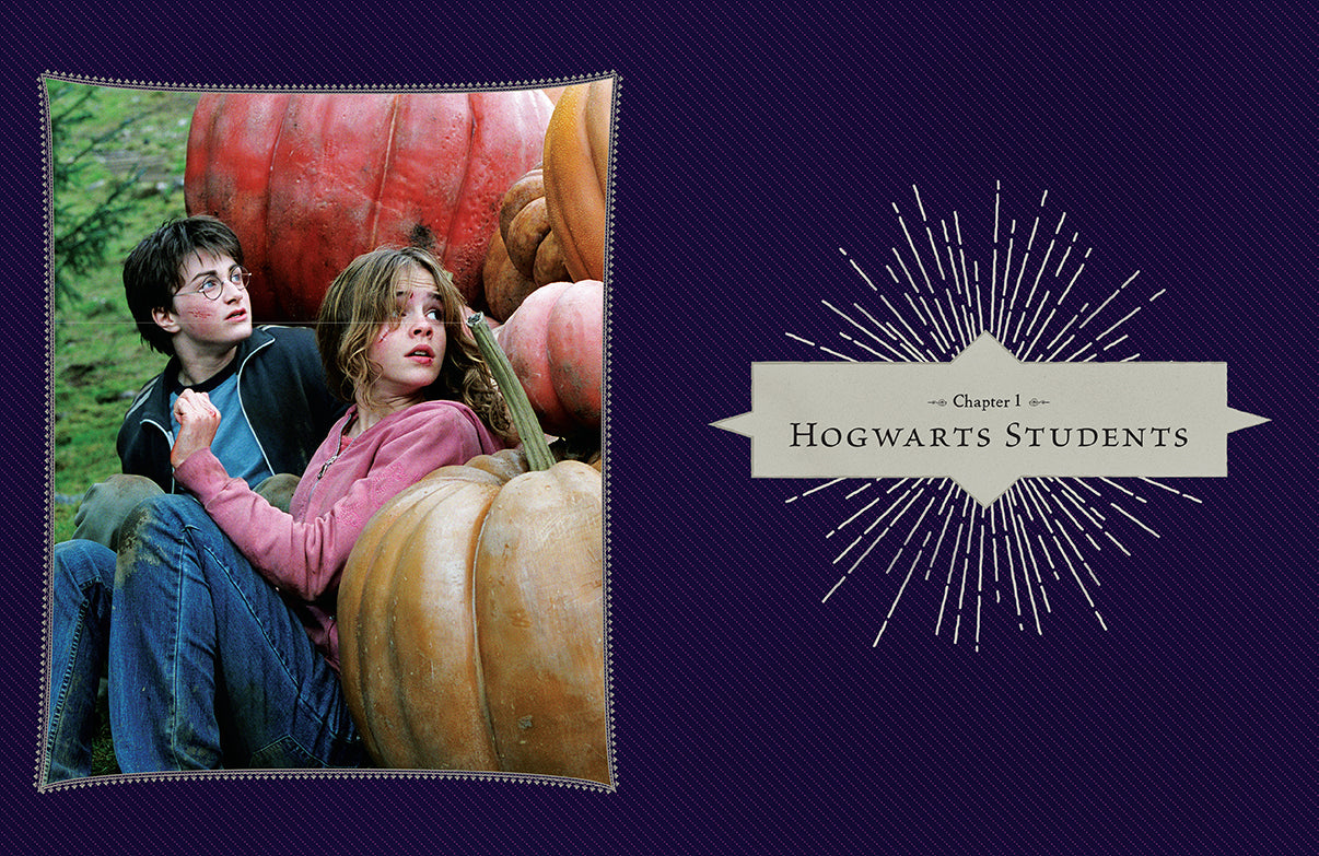 Hardcover Harry Potter: Film Vault Volume 4 by Insight Editions, featuring detailed illustrations and exclusive film insights.