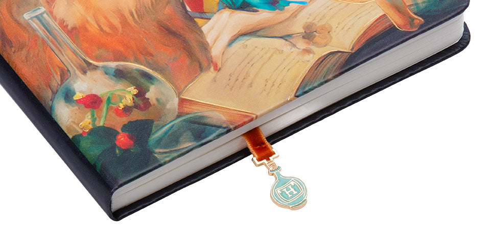 Hardcover Harry Potter Hermione Granger journal with ribbon charm, featuring detailed cover art and lined pages for writing.