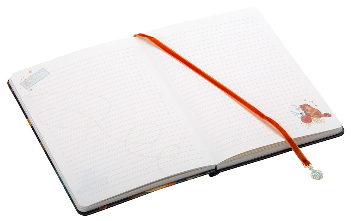 Hardcover Harry Potter Hermione Granger journal with ribbon charm, featuring magical-themed cover design by Insight Editions.