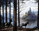 Harry Potter Hogwarts hardcover ruled journal by Insight Editions, featuring wizarding world design on the cover.