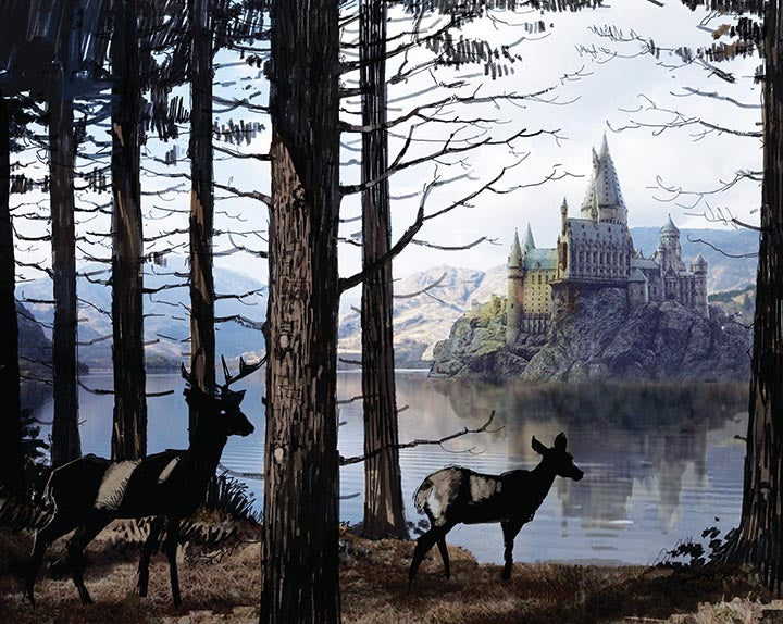 Harry Potter Hogwarts hardcover ruled journal by Insight Editions, featuring wizarding world design on the cover.