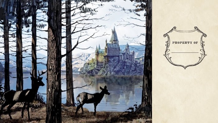 Hardcover Harry Potter Hogwarts ruled pocket journal by Insight Editions, featuring magical themed cover design and compact size.