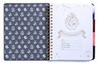 Hardcover Harry Potter Hogwarts Teacher's 12-Month Undated Planner by Insight Editions, featuring magical design on the cover.