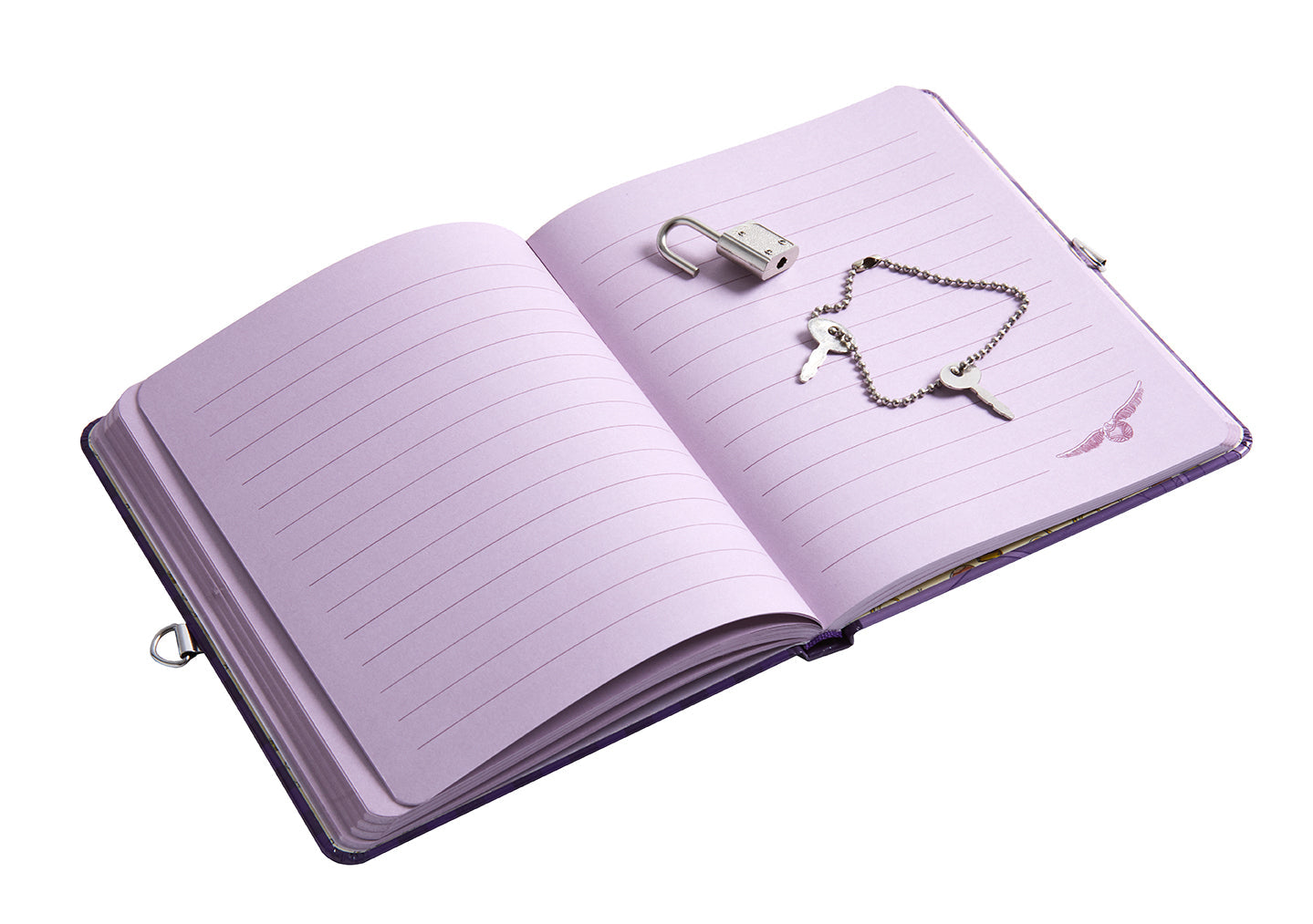 Hardcover Harry Potter Quidditch Lock & Key Diary by Insight Editions featuring magical Quidditch-themed cover design.