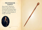 Hardcover Harry Potter: The Mini Book of Wands by Insight Editions showing the front cover with magical wand illustrations.