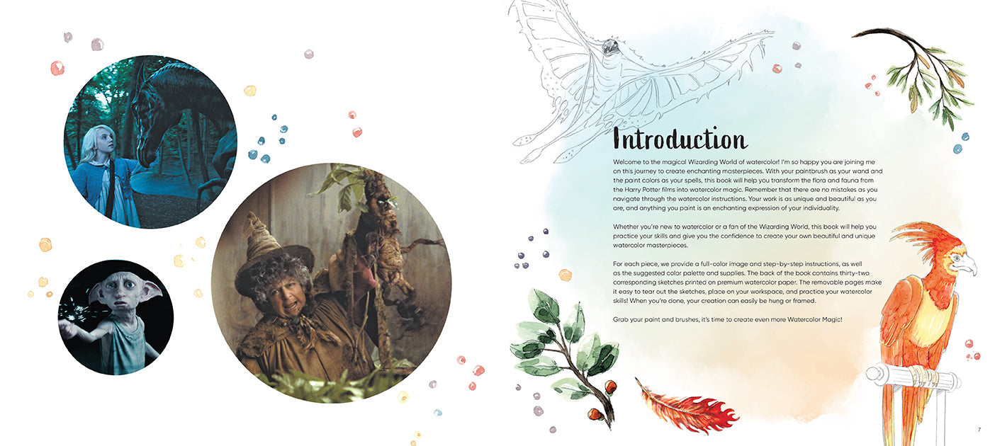 Hardcover Harry Potter Watercolor Magic Flora & Fauna book by Insight Editions featuring artistic botanical and creature illustrations.