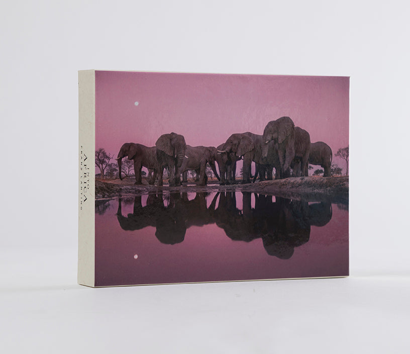 Hardcover set of Into Africa blank notecards by Insight Editions, featuring African-themed artwork on white cardstock.