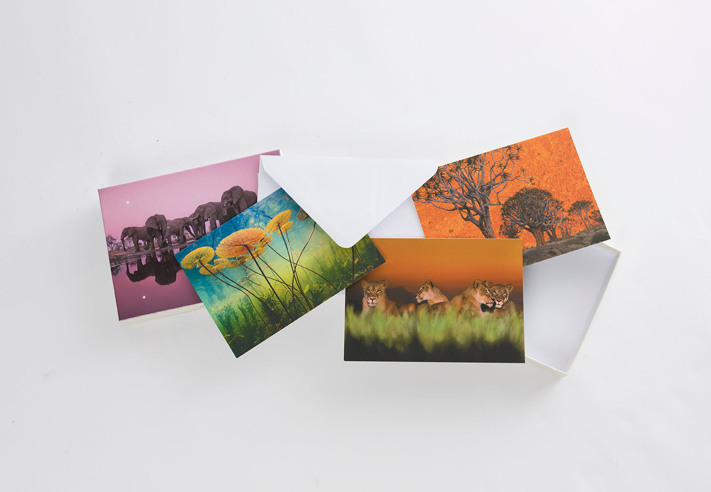 Hardcover set of Into Africa blank boxed notecards by Insight Editions, featuring African-inspired artwork on each card.